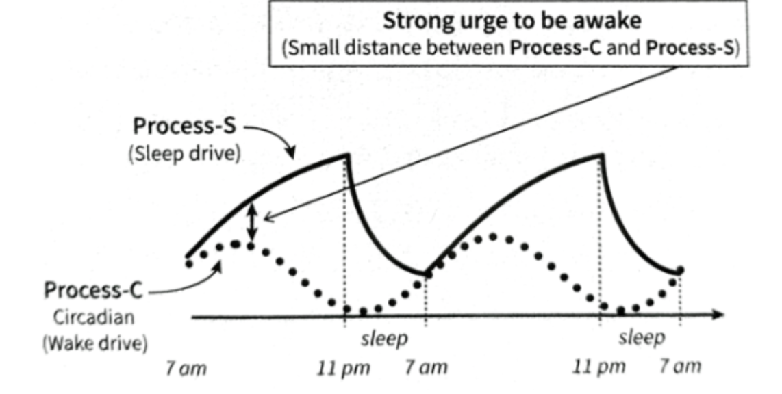 Screenshot 2025-02-13 at 11.33.26 PM.png