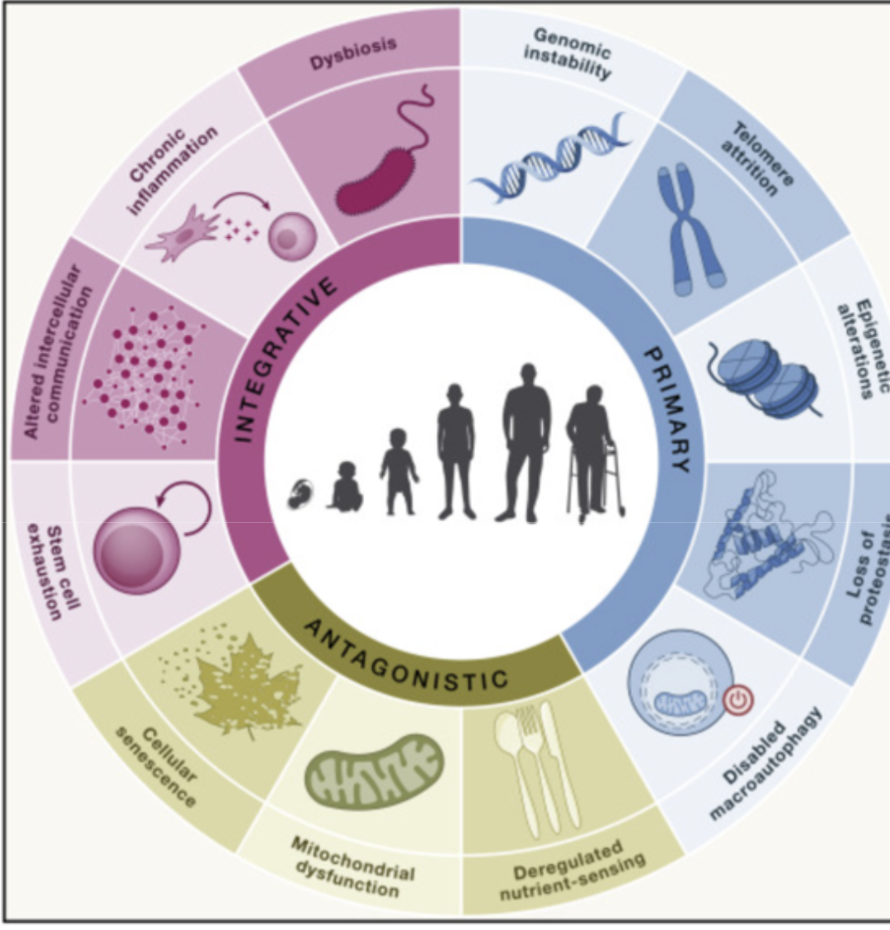 Screenshot 2025-02-14 at 1.00.52 AM.png