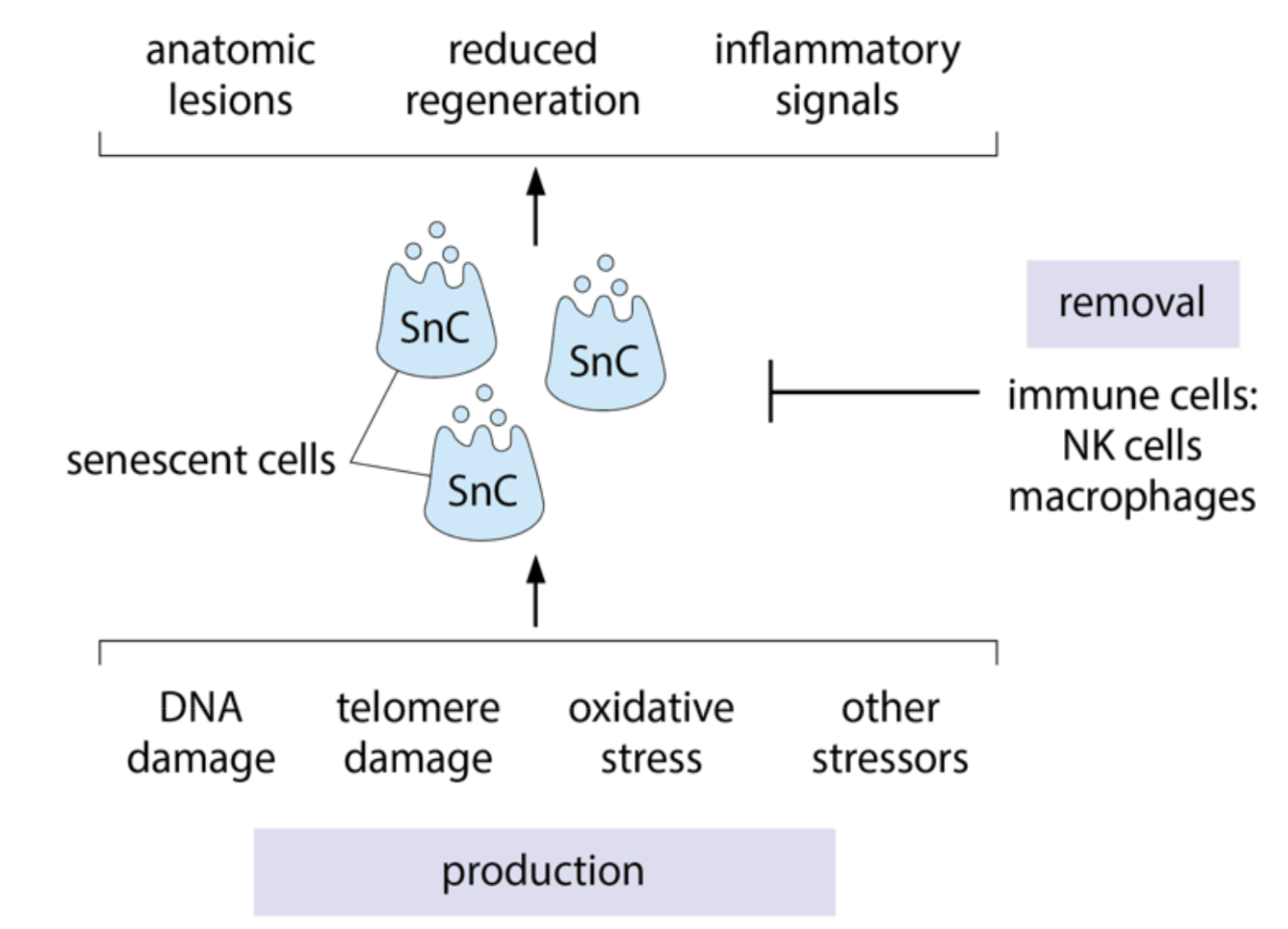 Screenshot 2025-02-14 at 5.39.58 PM.png