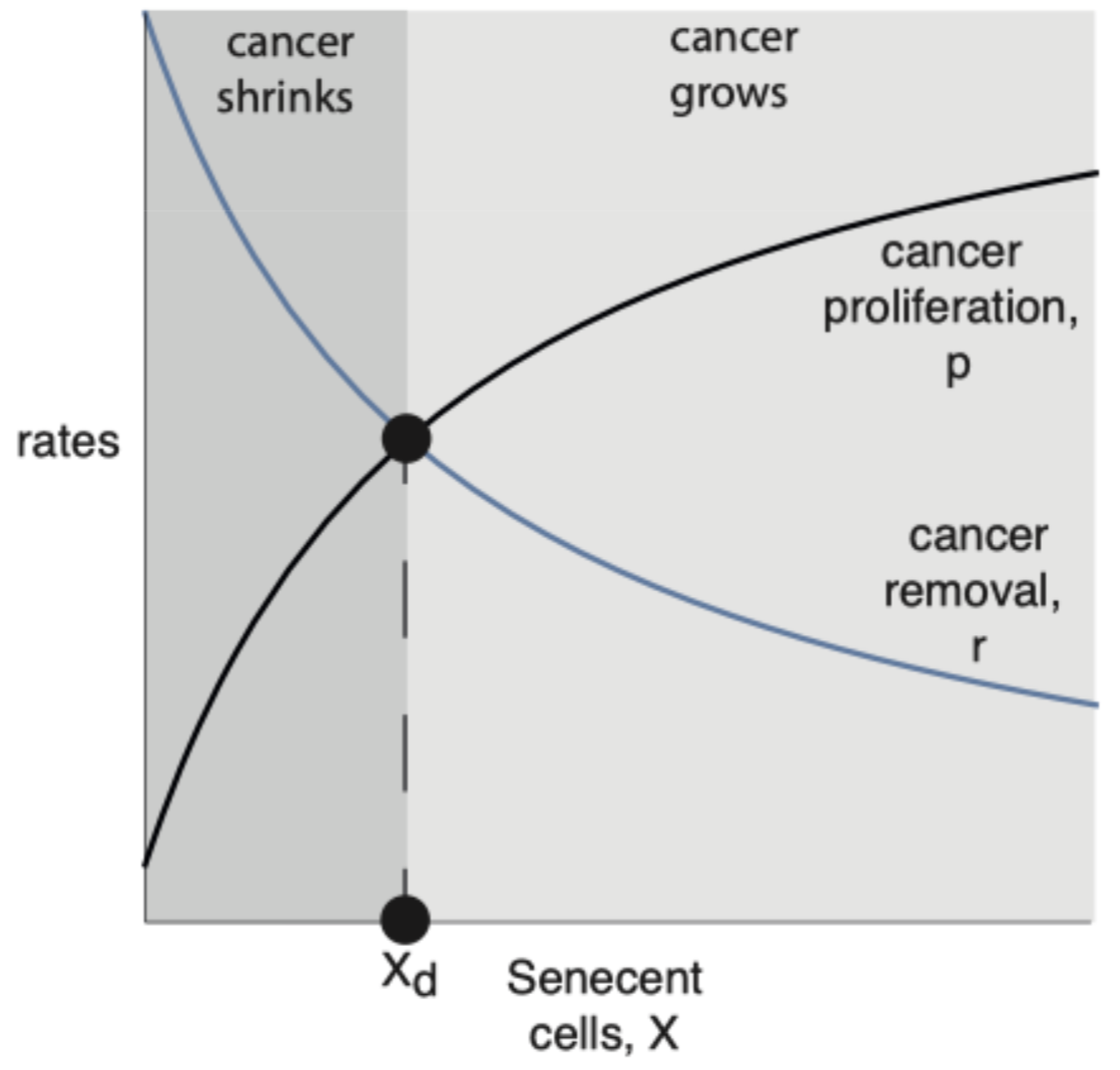 Screenshot 2025-02-16 at 1.02.45 AM.png