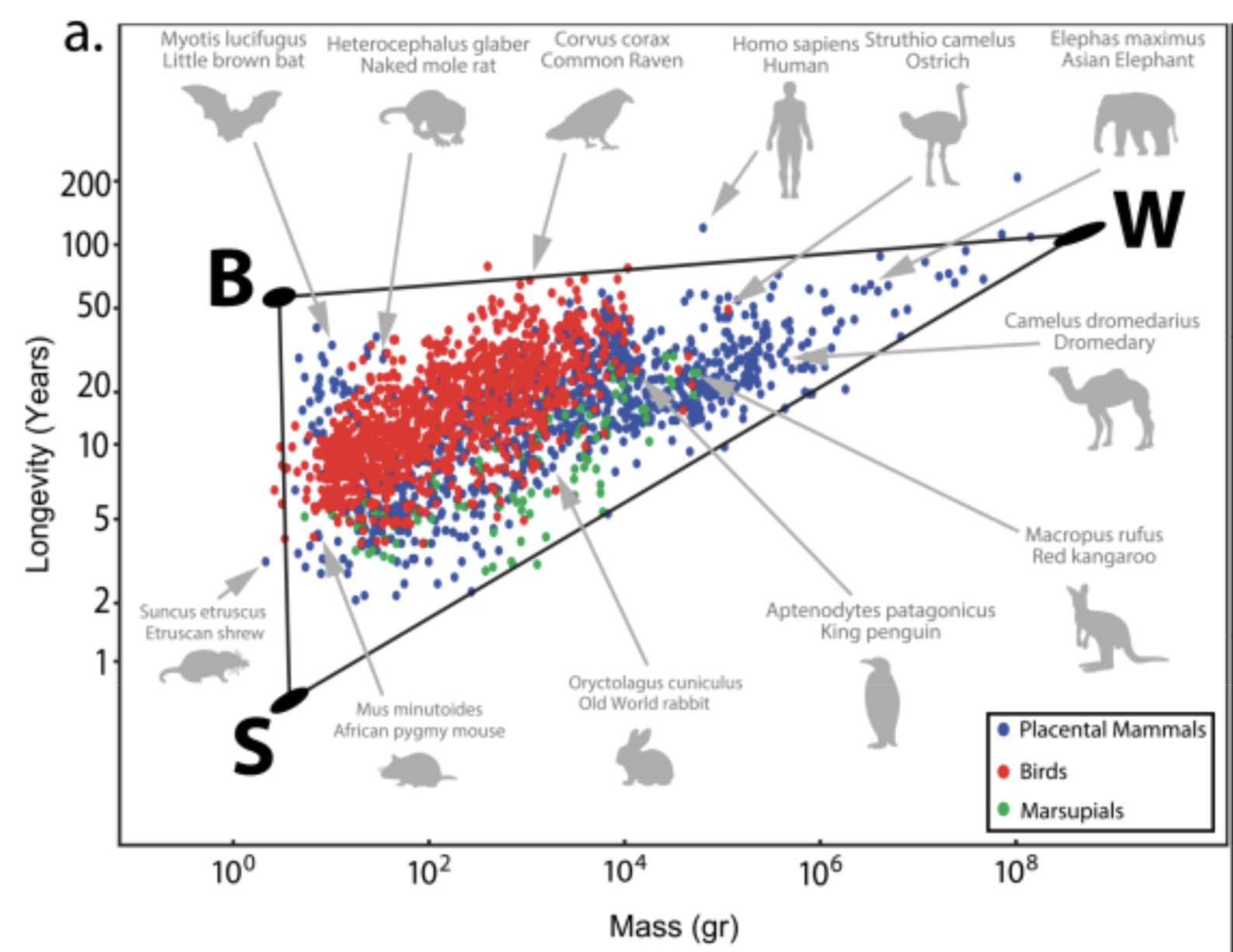 Screenshot 2025-02-17 at 4.13.54 PM.png