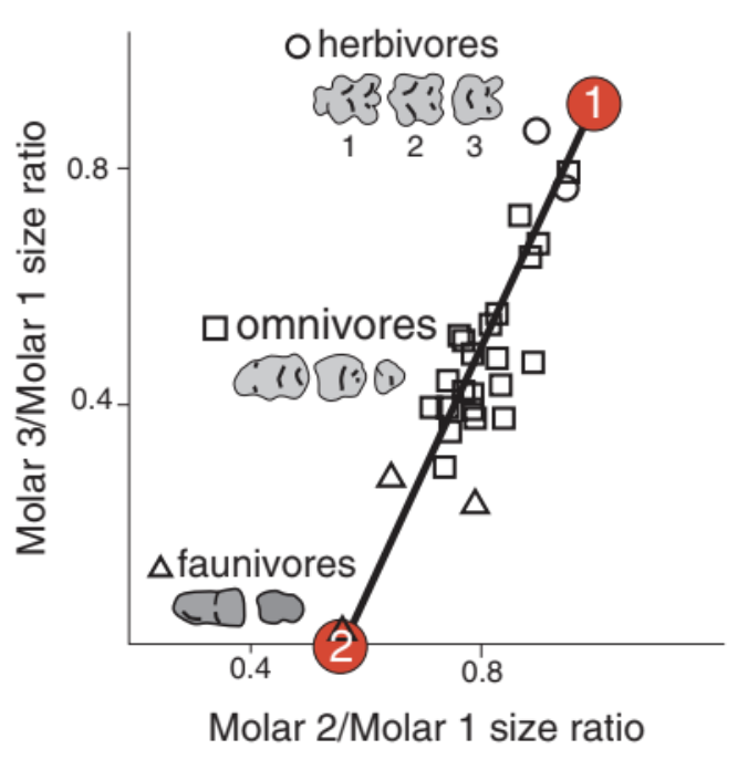 Screenshot 2025-02-17 at 7.32.28 PM.png