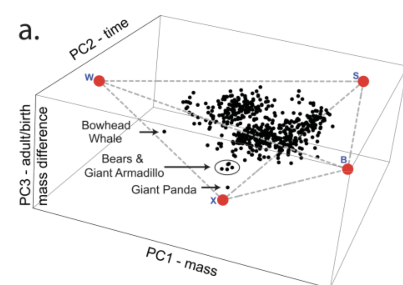 Screenshot 2025-02-17 at 7.41.14 PM.png