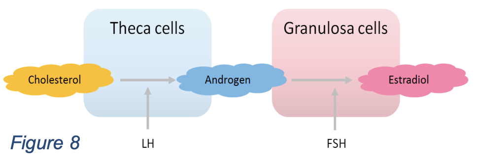 Screenshot 2025-03-07 at 2.05.18 PM.png