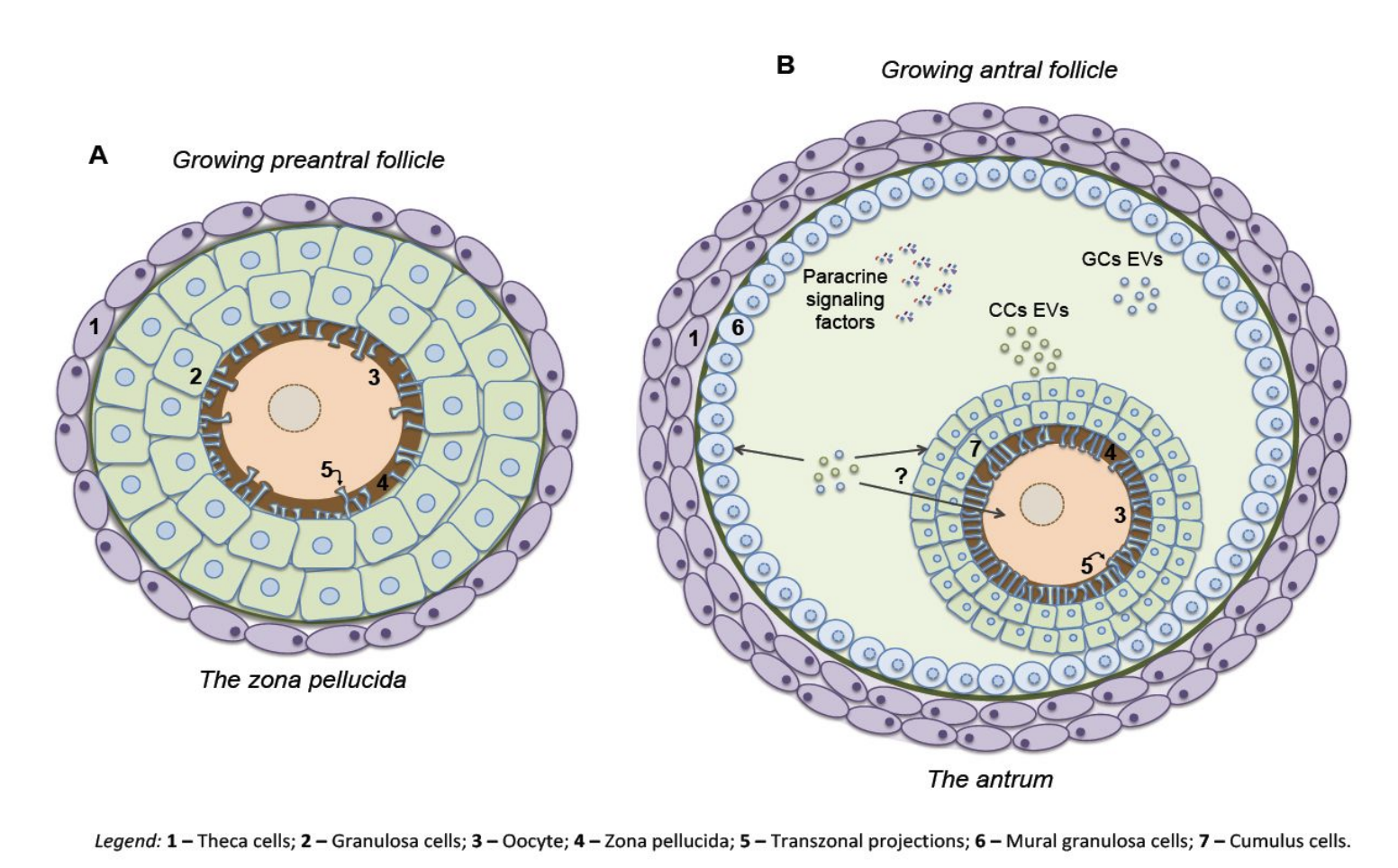 Screenshot 2025-03-07 at 2.09.09 PM.png