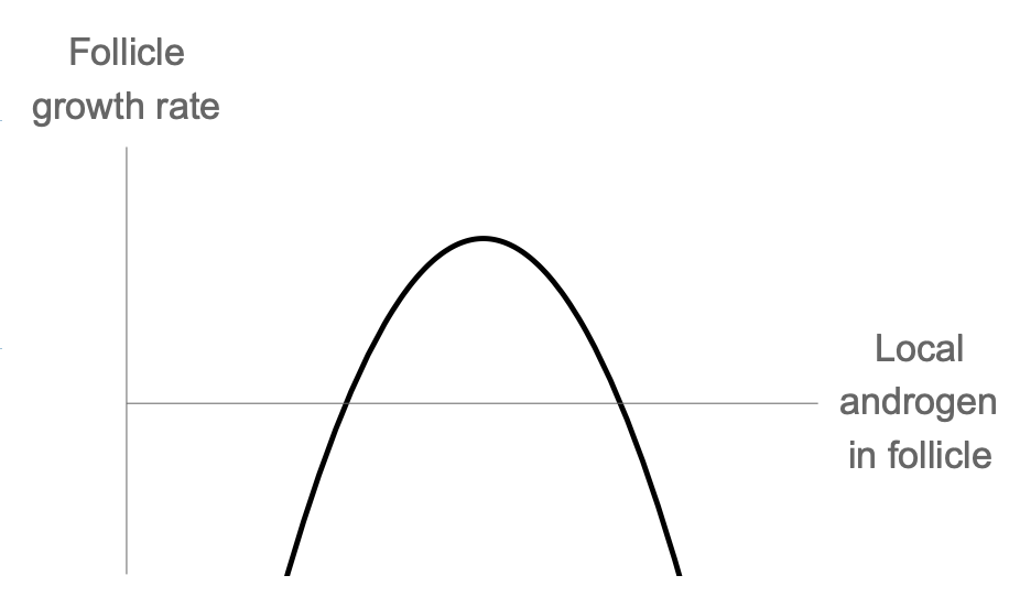 Screenshot 2025-03-07 at 2.20.30 PM.png