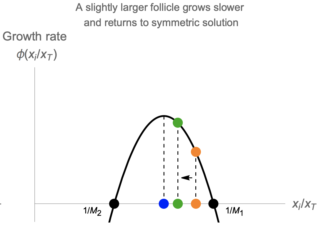 Screenshot 2025-03-07 at 2.34.26 PM.png