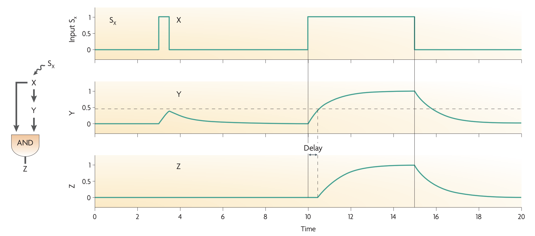 Screenshot 2025-03-07 at 5.41.50 PM.png