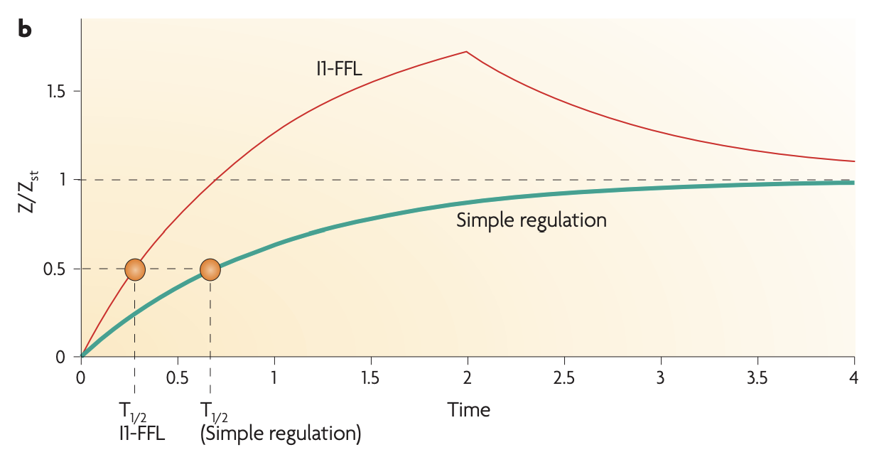 Screenshot 2025-03-07 at 5.48.13 PM.png