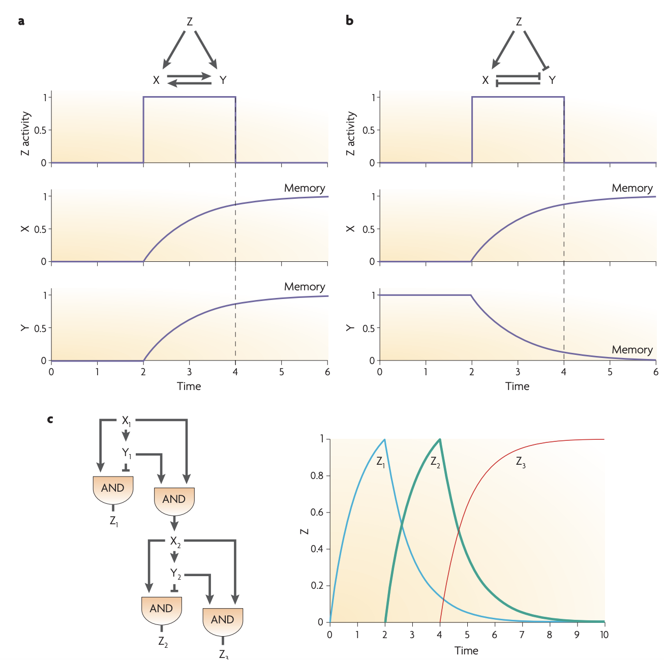 Screenshot 2025-03-07 at 6.17.25 PM.png