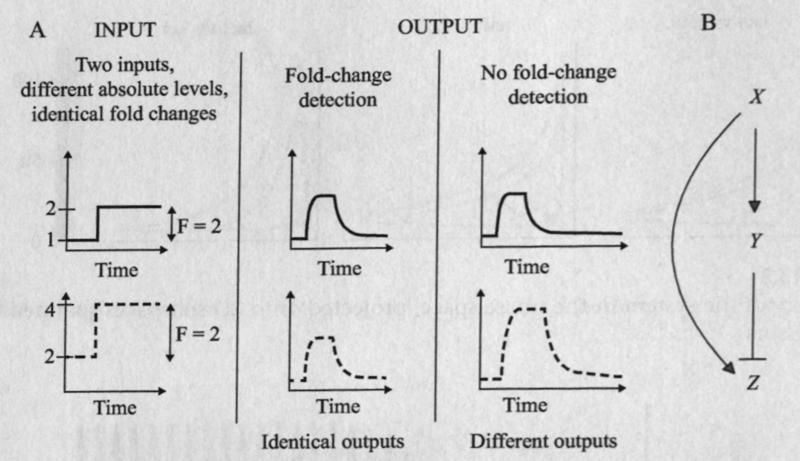 Screenshot 2025-05-07 at 9.06.42 PM.png