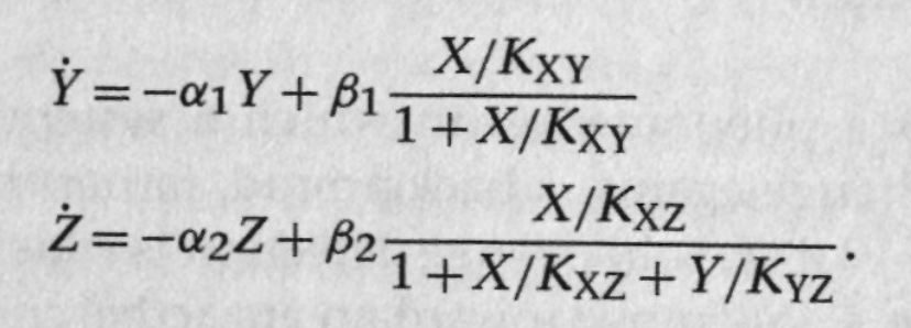 Screenshot 2025-05-07 at 9.08.42 PM.png