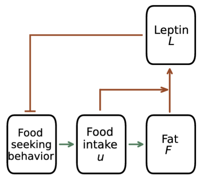 Screenshot 2025-08-22 at 10.16.49 AM.png