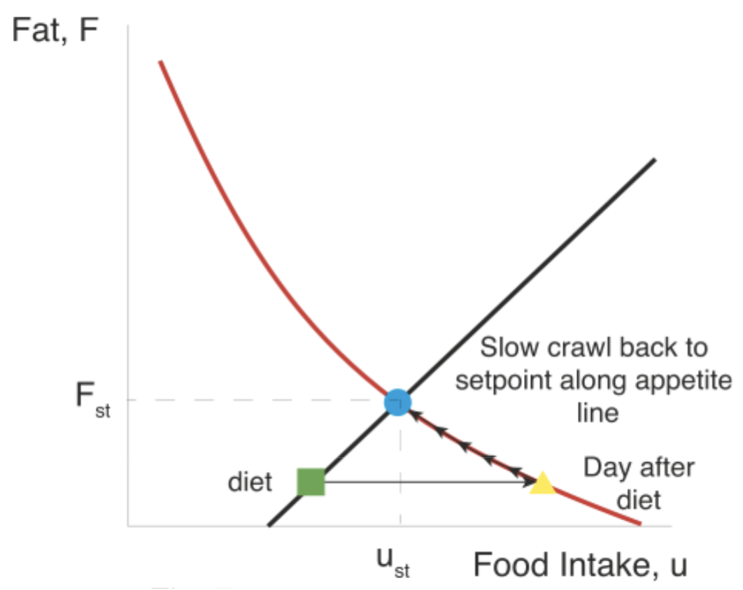 Screenshot 2025-08-22 at 10.25.51 AM.png