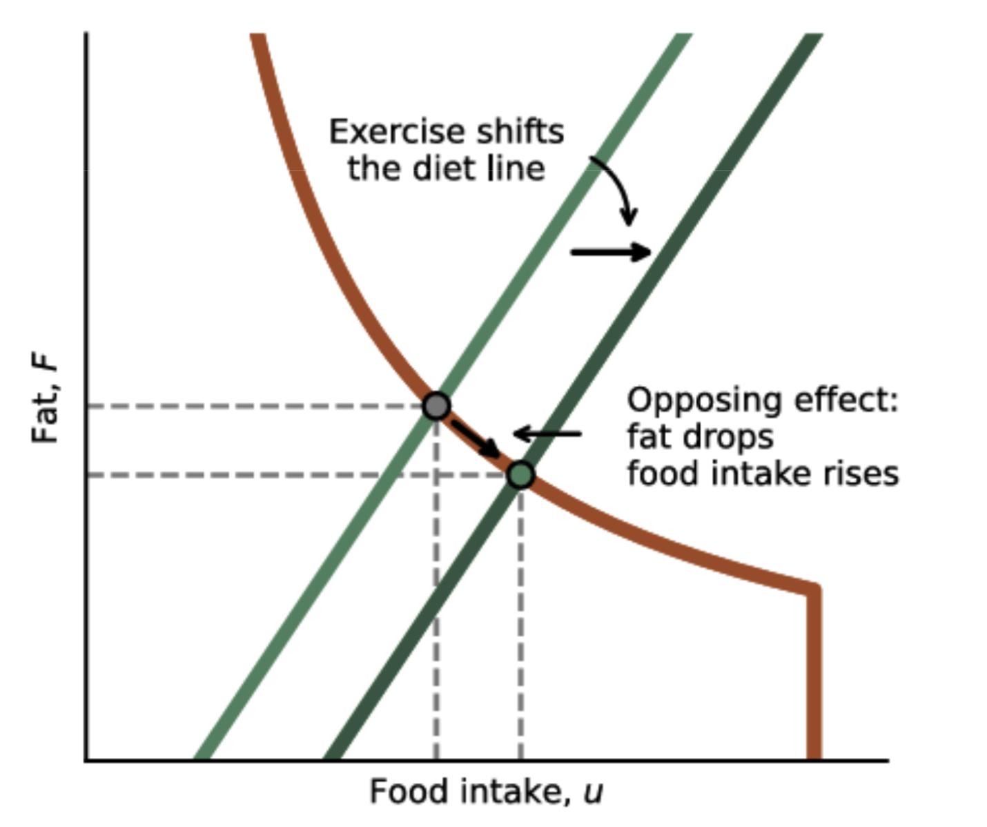 Screenshot 2025-08-22 at 10.27.36 AM.png