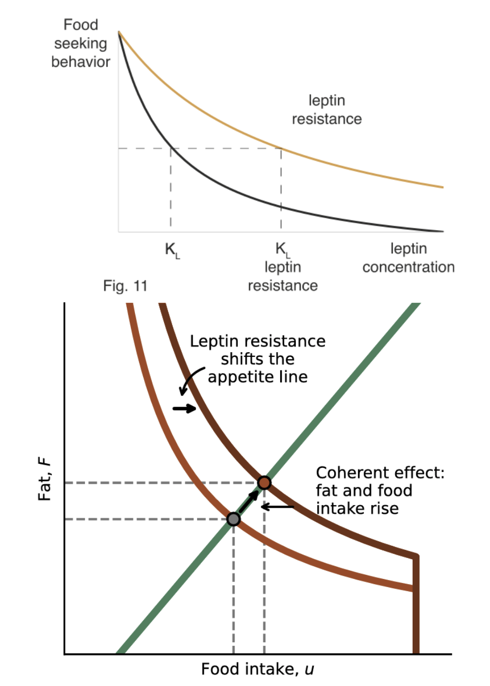 Screenshot 2025-08-22 at 10.31.57 AM.png