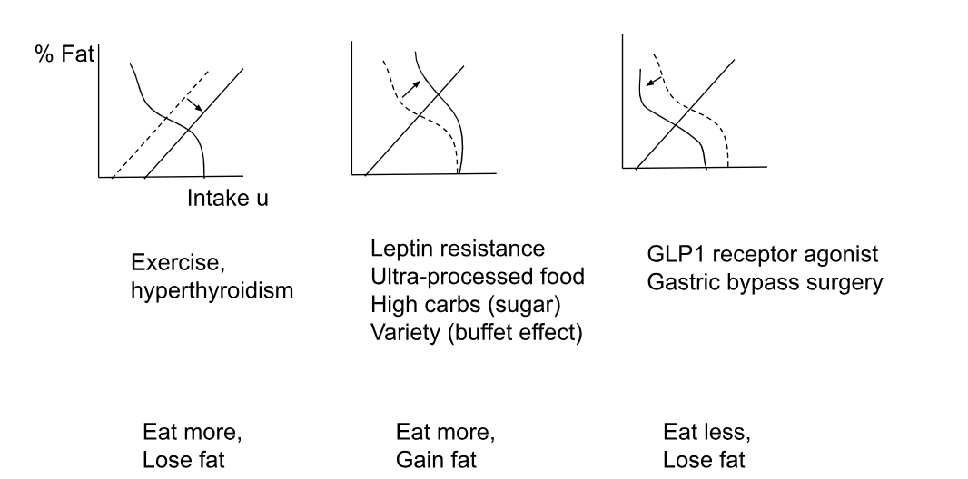 Screenshot 2025-08-22 at 10.36.10 AM.png