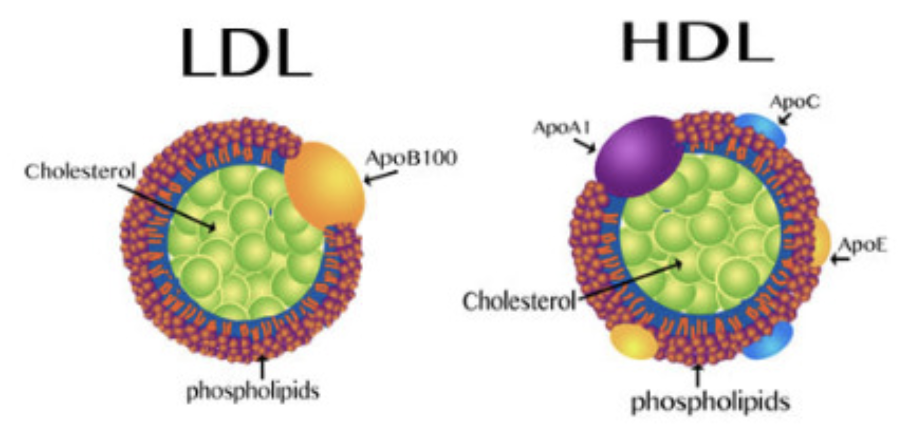 Screenshot 2025-04-12 at 6.35.41 PM.png